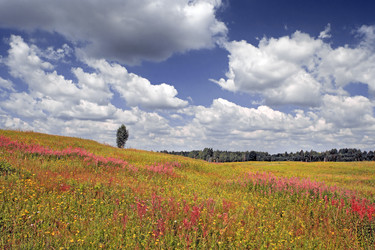 Similar image 1167488