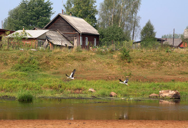 Similar image 1167513