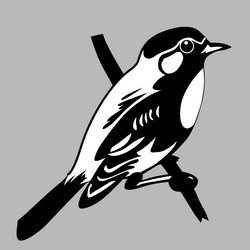 Similar image 1167528