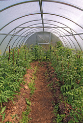 Similar image 1167563