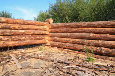 Similar image 1167573