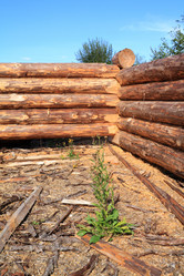 Similar image 1167574