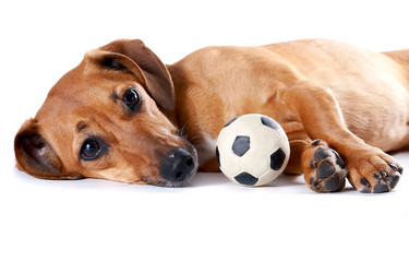 Similar image 1167646