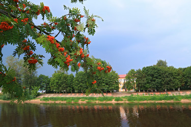 Similar image 1167671