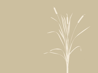 Similar image 1167695