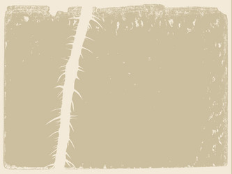 Similar image 1167698