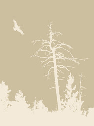 Similar image 1167704