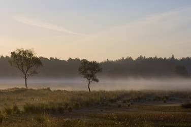 Similar image 1167816