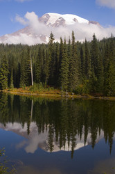 Similar image 1167822