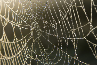 Similar image 1167823