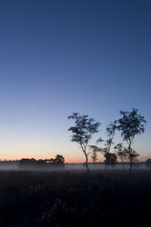 Similar image 1167824