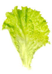 Similar image 1167883