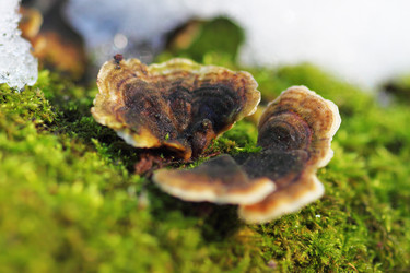 Similar image 1167905