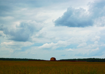 Similar image 1168044