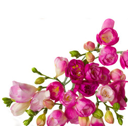 Similar image 1168129