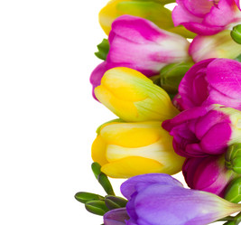 Similar image 1168130