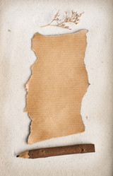 Similar image 1168155