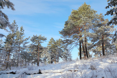 Similar image 1168166