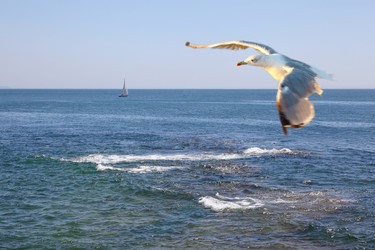 Similar image 1168167