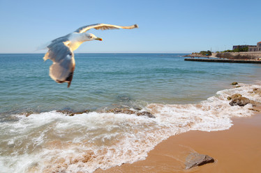 Similar image 1168168