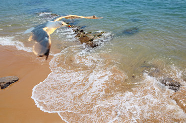 Similar image 1168169