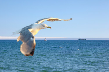 Similar image 1168170