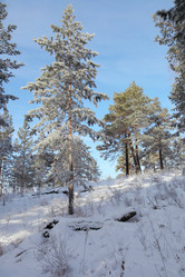 Similar image 1168171