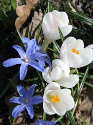 Similar image 1168205