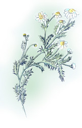 Similar image 1168226