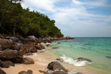 Similar image 1168244