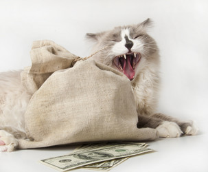 Similar image 1168267