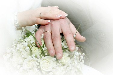 Similar image 1168299