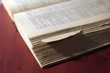 Similar image 1168306