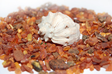 Similar image 1168317