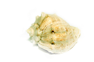 Similar image 1168318