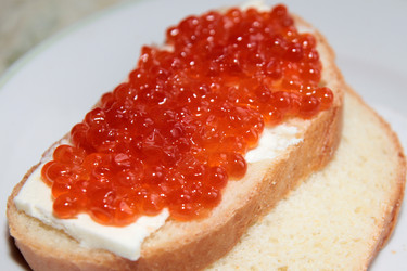 Similar image 1168321