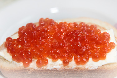 Similar image 1168323