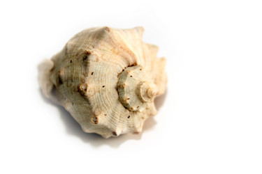 Similar image 1168327