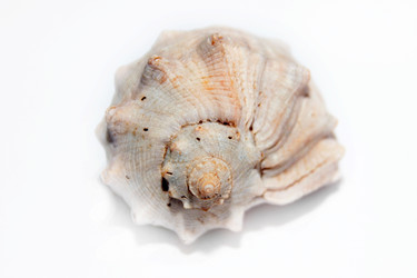 Similar image 1168329