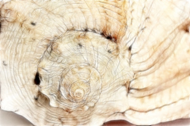 Similar image 1168330