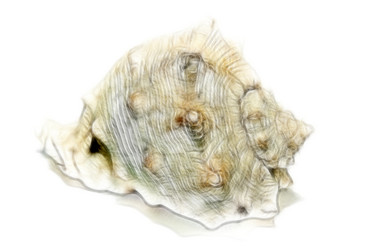 Similar image 1168335