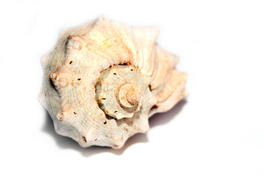 Similar image 1168337