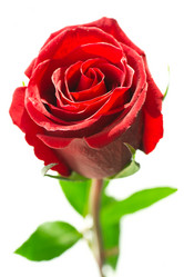 Similar image 1168338