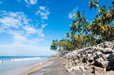 Similar image 1168363