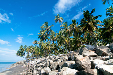 Similar image 1168364