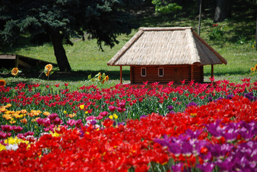 Similar image 1168366