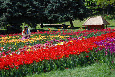 Similar image 1168367