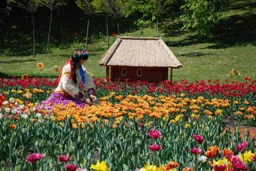 Similar image 1168368