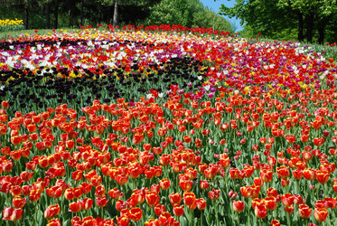 Similar image 1168371