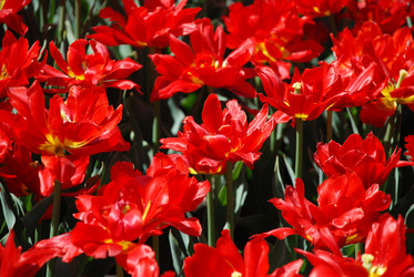 Similar image 1168374